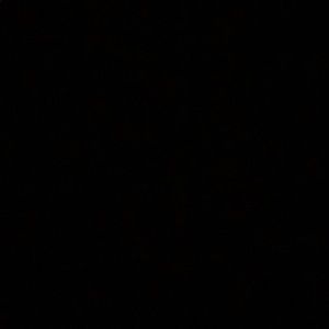 Meet your Posher, Jojuan